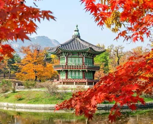korea Visas'
